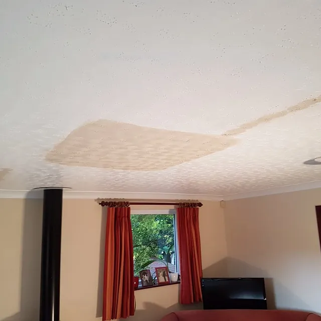 ceiling repair