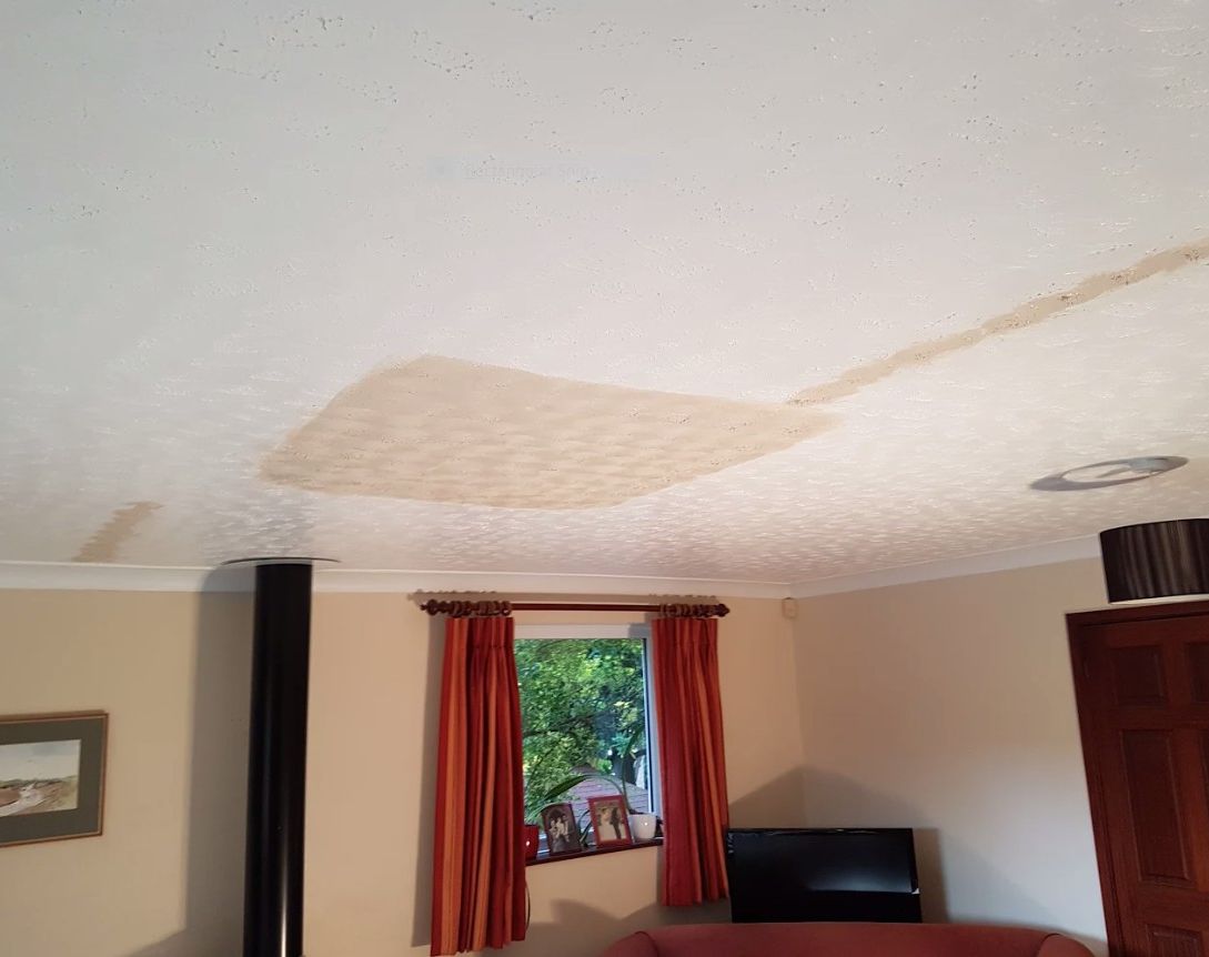 ceiling repair