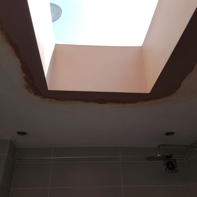 Ceiling repairs