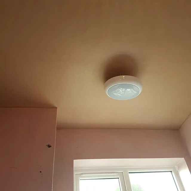 plastered wall and ceiling