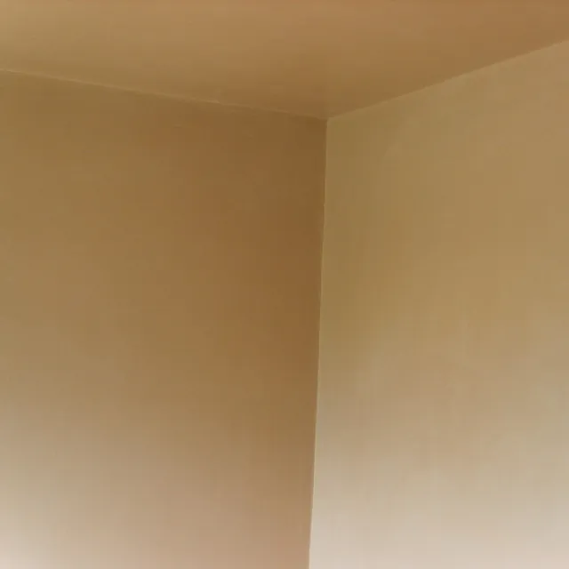 plastered walls