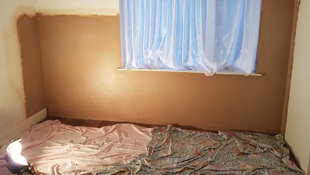 damp repair